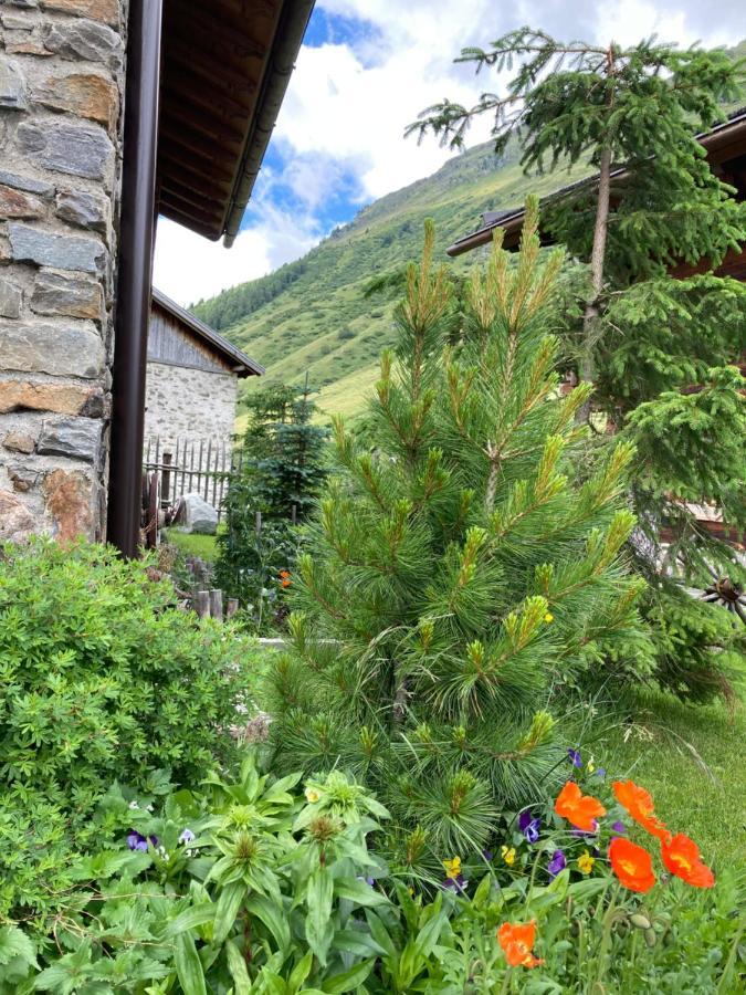 Dreihaeuser Obergurgl Luaran gambar